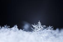 如何用英语表达give,英语中give的用法