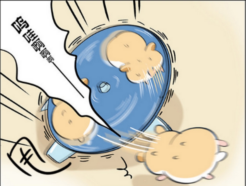 仓鼠的跑步速度有多快,小仓鼠跑步有多快