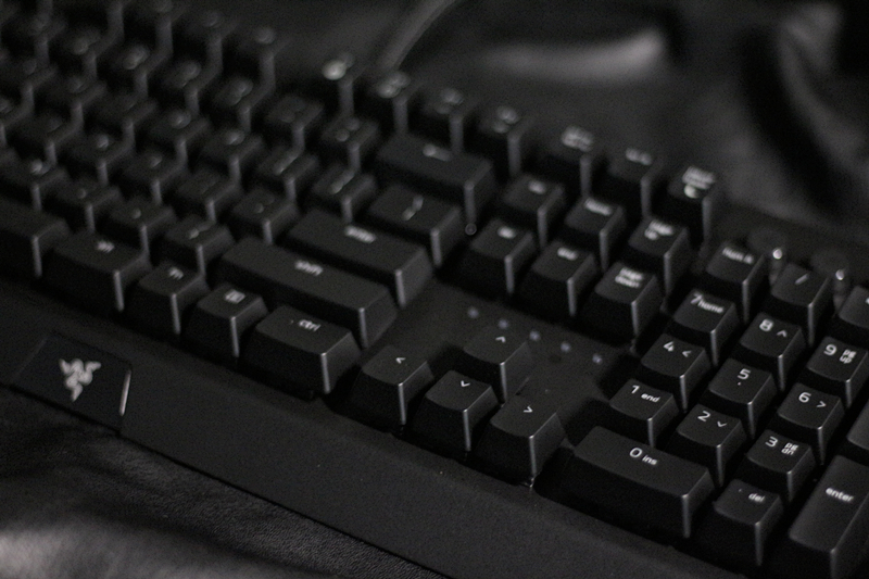 黑寡妇蜘蛛幻彩版和标准版,黑寡妇蜘蛛幻彩版灯光