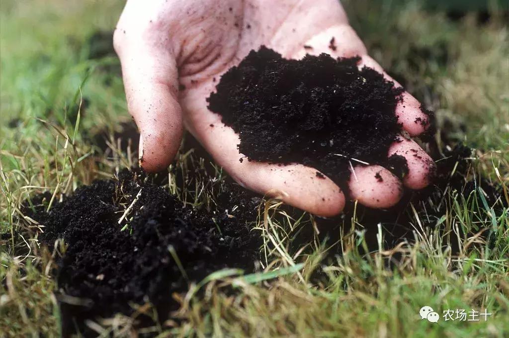 有机农业的真实现状,有机农业的惊天骗局