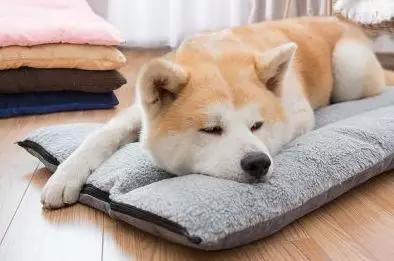 去除脚臭最有效的喷雾,去脚臭最有效方法喷雾