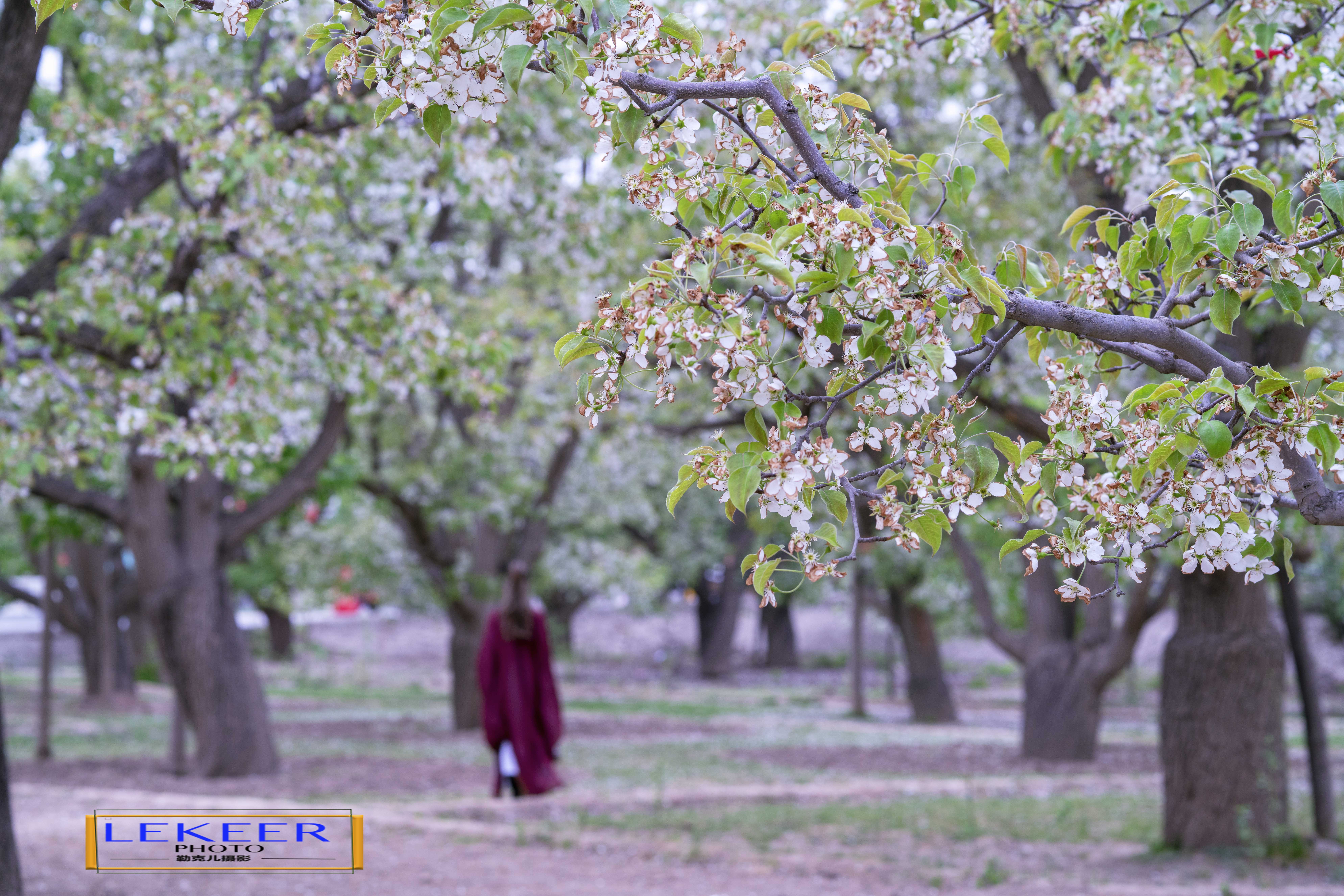 大西北戈壁滩怎么形成的,我国西北地区大戈壁滩形成原因