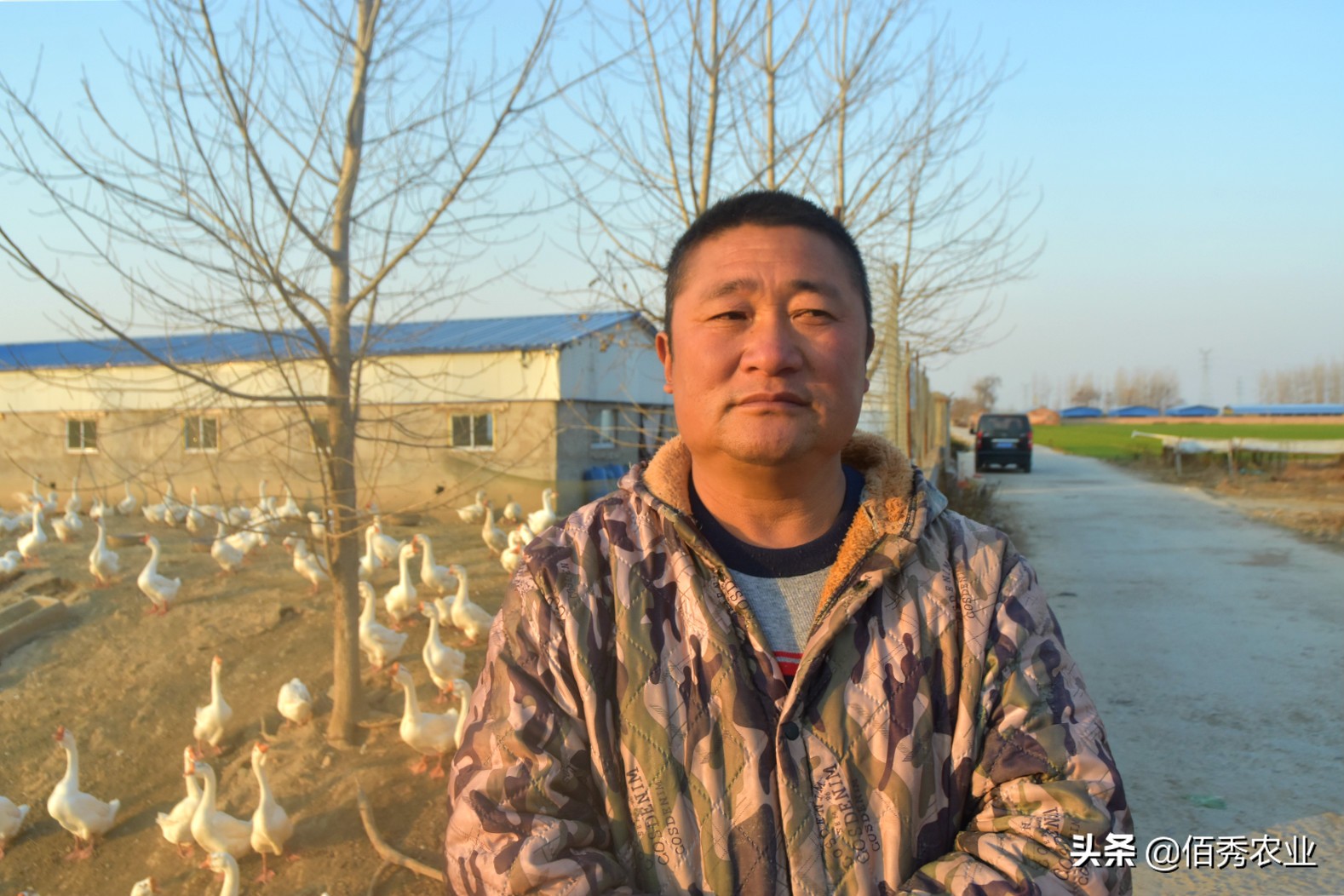 农村5类特色养殖,农村养殖哪种模式最靠谱