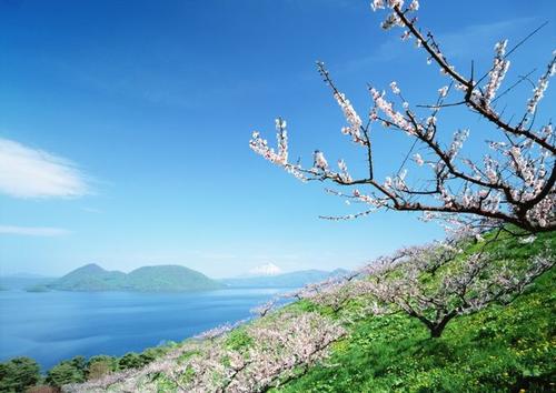 欧冠足球决赛直播,凌晨三点欧冠决赛