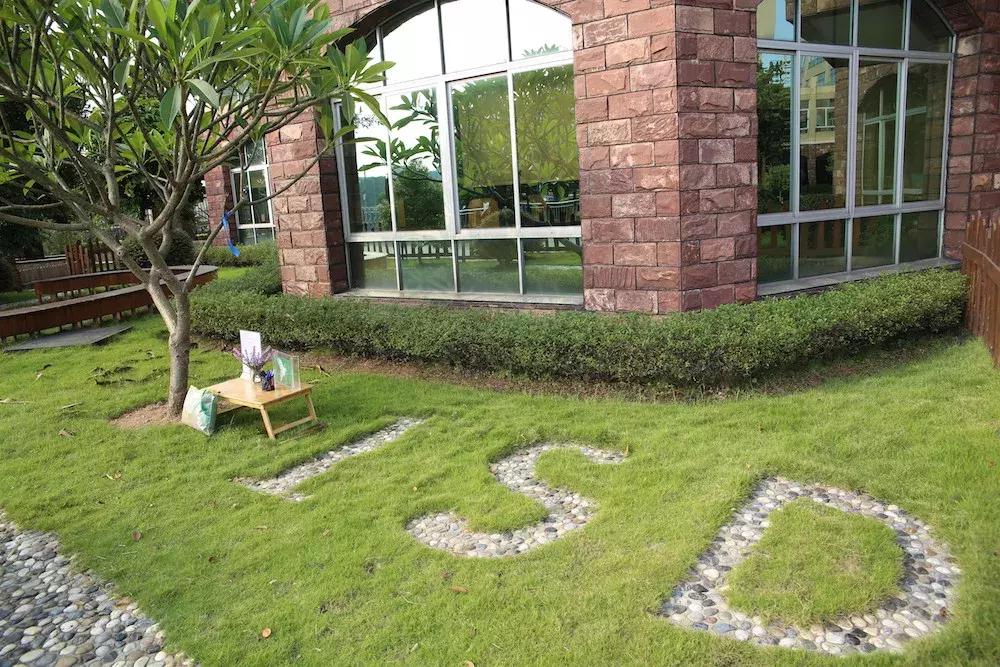 东莞有些什么特色幼儿园,东莞规模最大的幼儿园