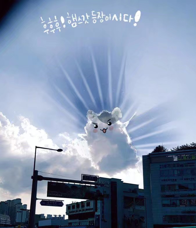 四年青春,四年青春短暂