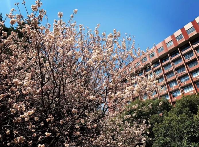 中国*产党共**创办的第一所高等学府，以城市名字命名，孙中山、毛*东泽**直接关怀！