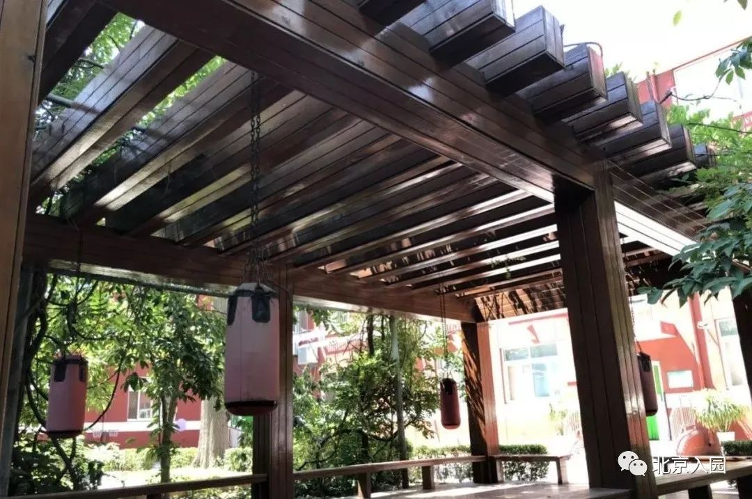 不满3岁也能报名!北京10所热门托班盘点!这两区最多