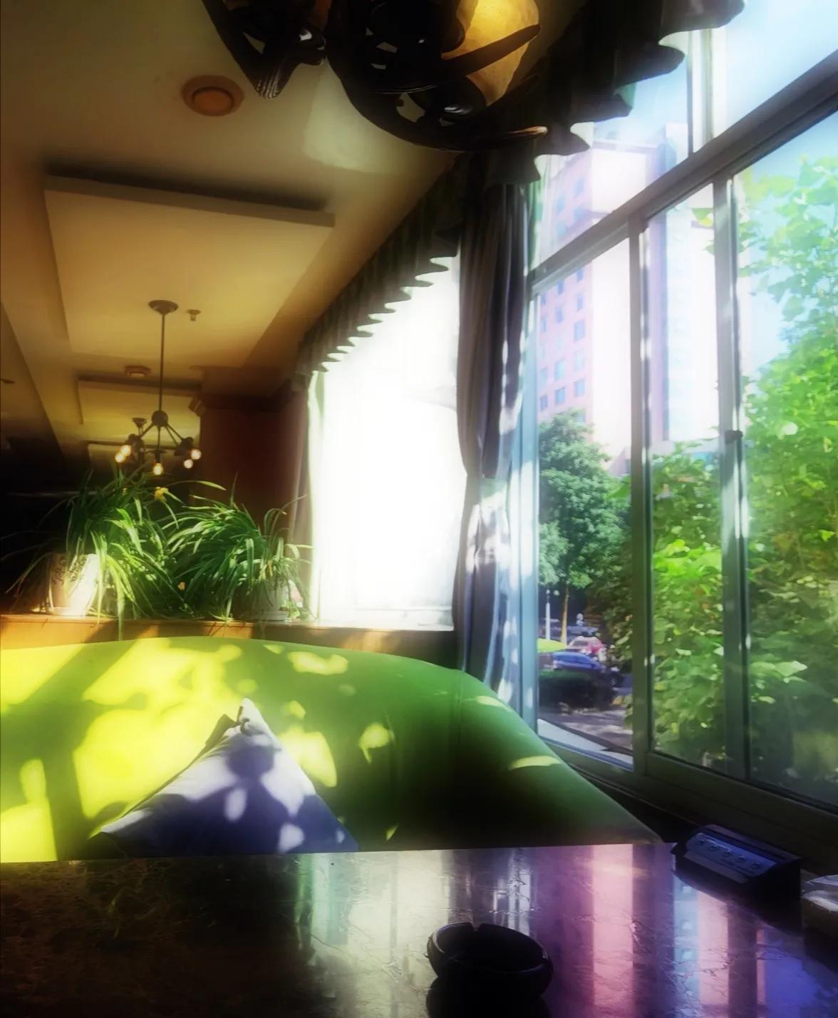 《高度关注》“米萝”咖啡的故事