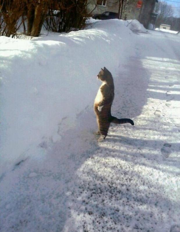 火影忍者真人cosplay写轮眼,火影cos现场