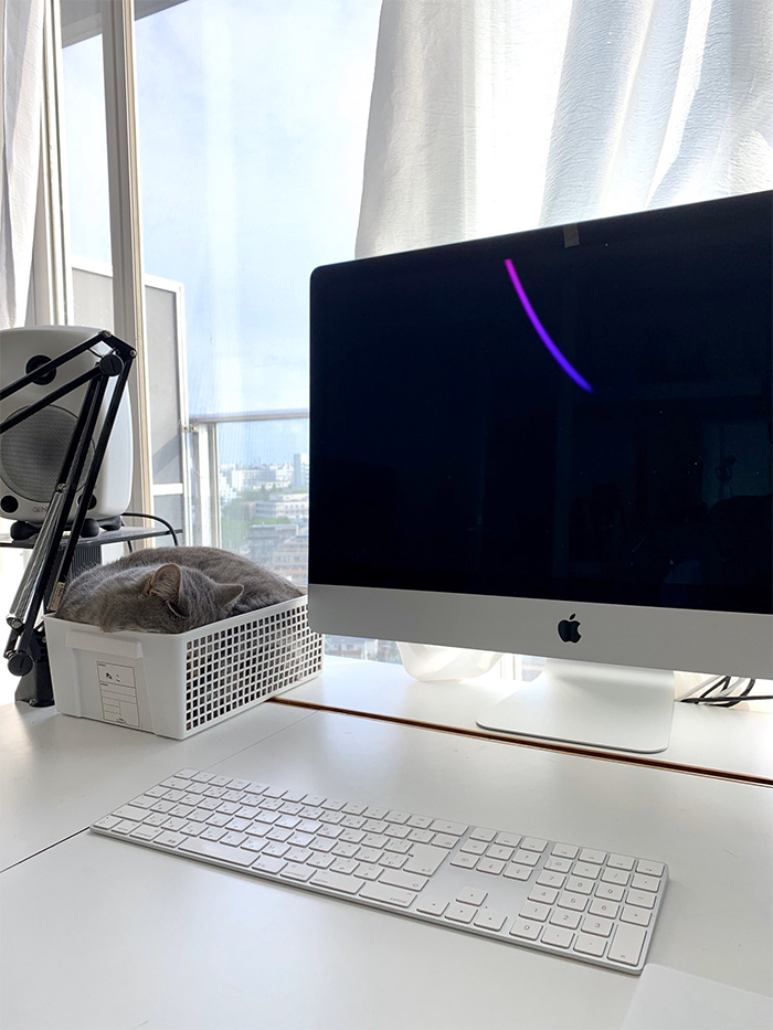 猫咪喜欢上桌子？打扰你的工作？试试这个方法，轻松摆脱它的骚扰