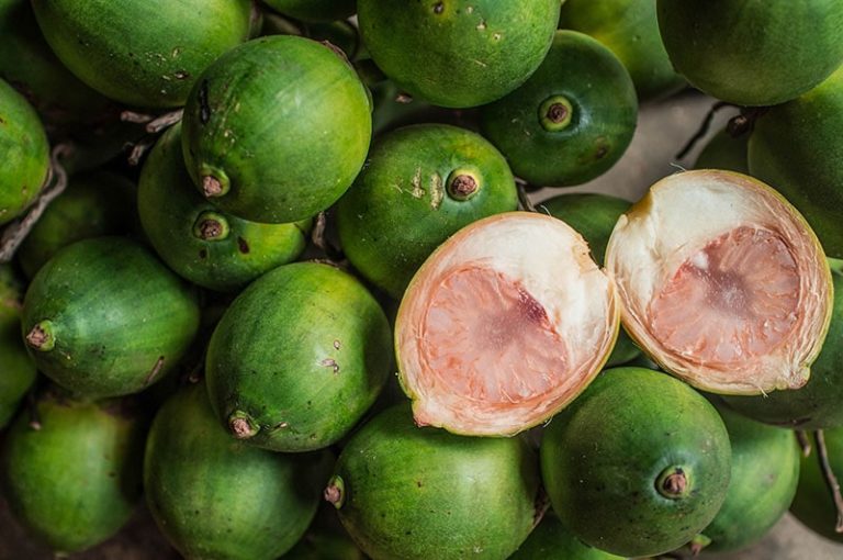 中国吃槟榔致癌的人数,全国因为吃槟榔致癌人数