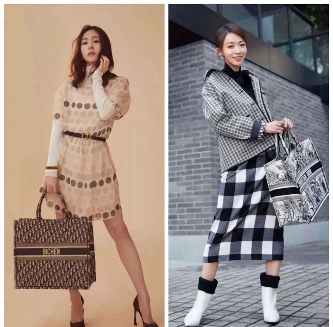 dior值得买的马鞍包是哪款,dior最好的十款包