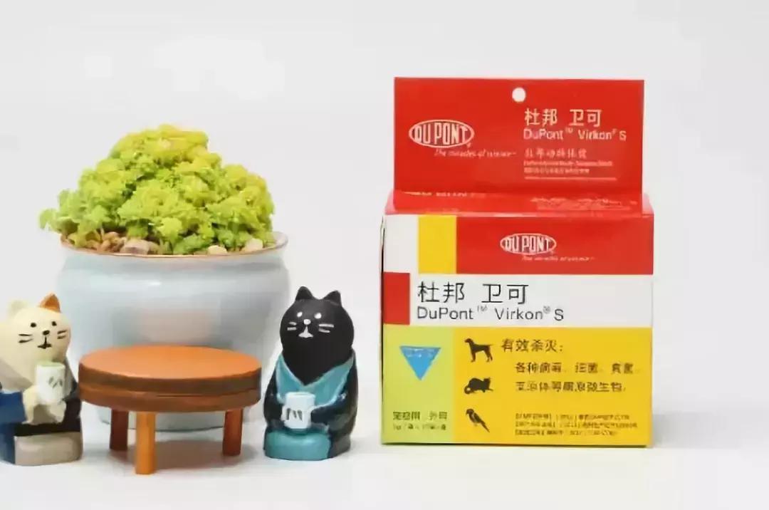 猫癣传染给人的症状,猫身上有猫癣怎么办