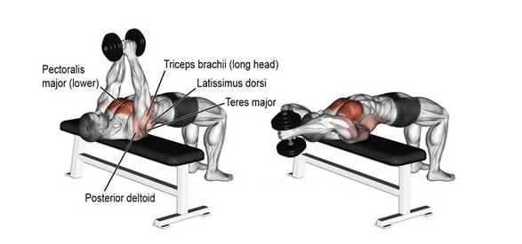 卧推练胸之后没感觉？增加这几个动作提升泵感，练完胸部又酸又胀