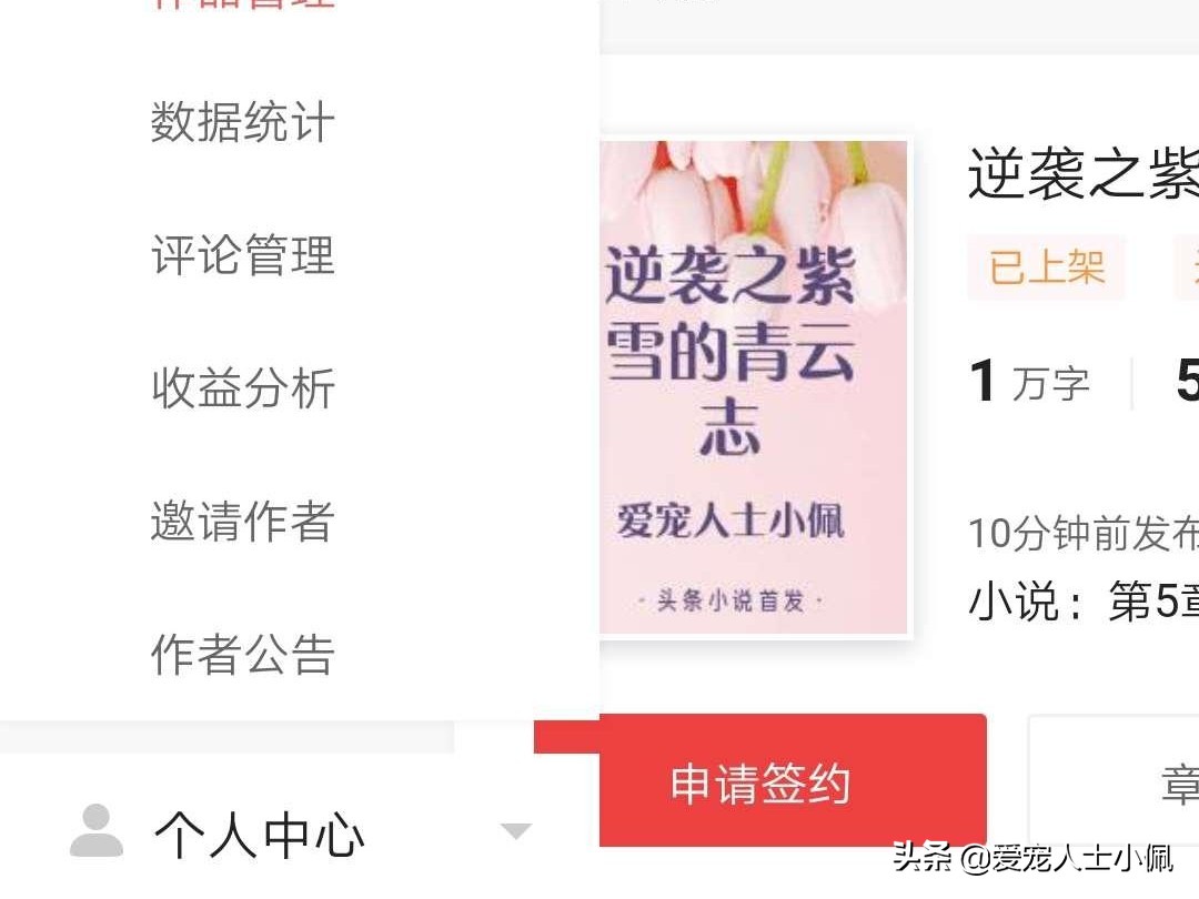 爱宠人士小佩是怎么回事,爱宠人士小佩