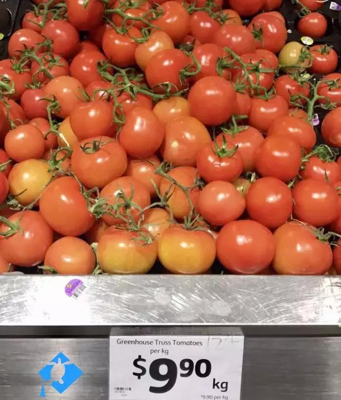 澳洲大龙虾奢华大餐,澳洲大龙虾海鲜大餐