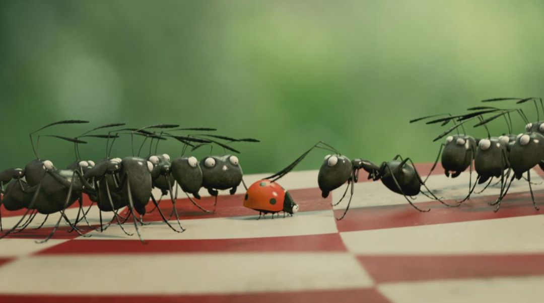 假期儿童纪录片推荐经典,青少年假期推荐纪录片