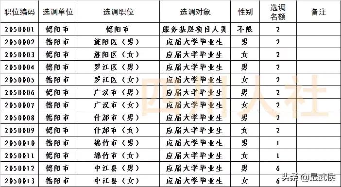 四川选调生2024选调公告官网,四川选调生2024选调公告名额