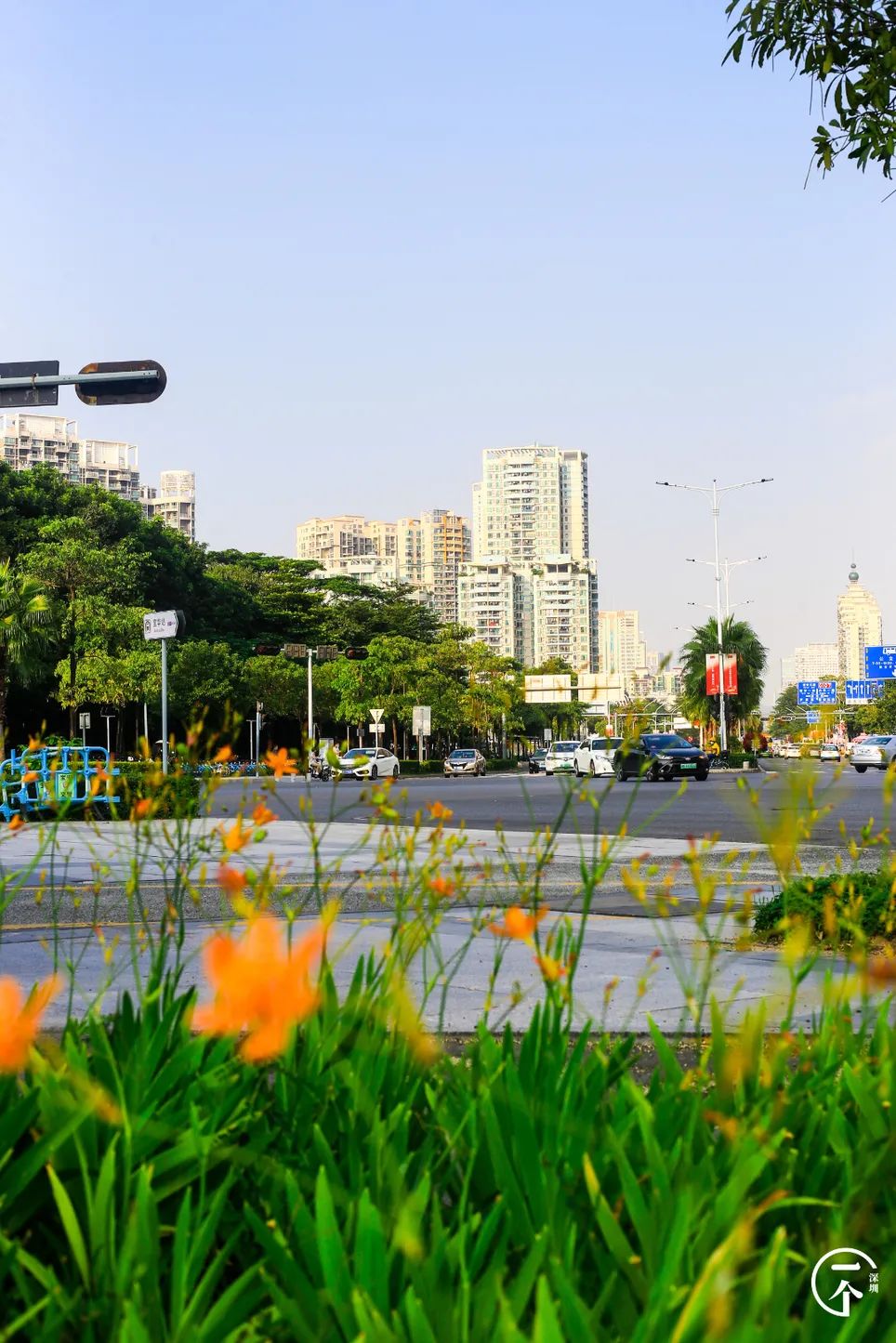 2000万在深圳能买到别墅吗,2000能在深圳租到怎样的房子