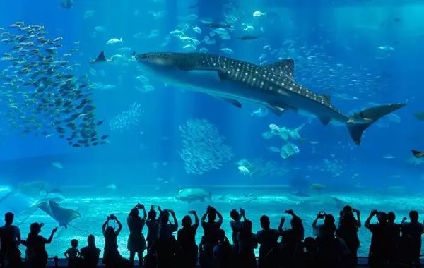 最不像日本的日本城市,日本最像中国的城市冲绳