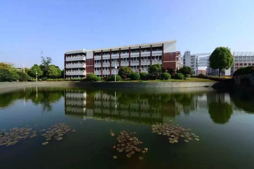 武汉32所重点小学大pk,武汉市十大美丽中学