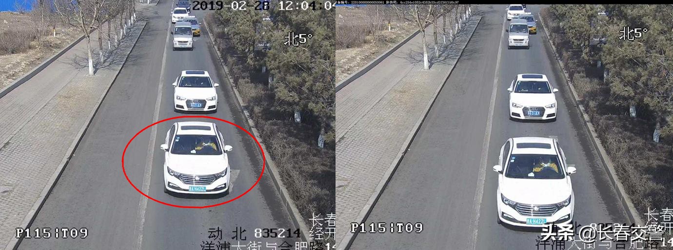 违法曝光台,违法曝光台第96期