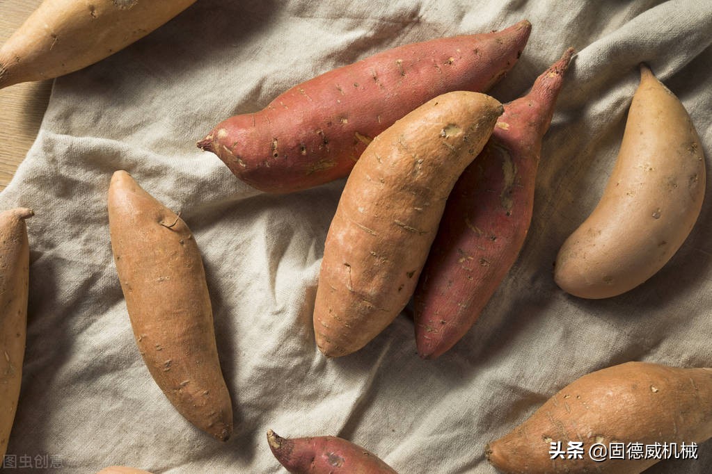 怎么提高红薯的淀粉含量,红薯淀粉加工设备全自动