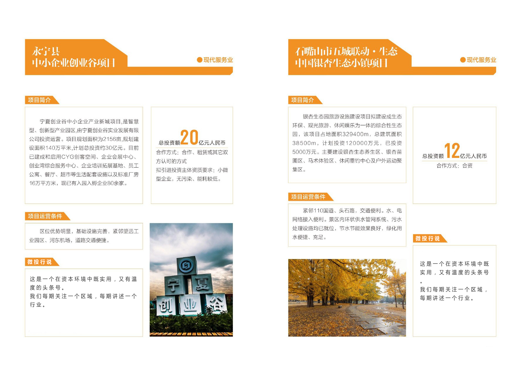 西部产业园项目,西部投资集团代表项目