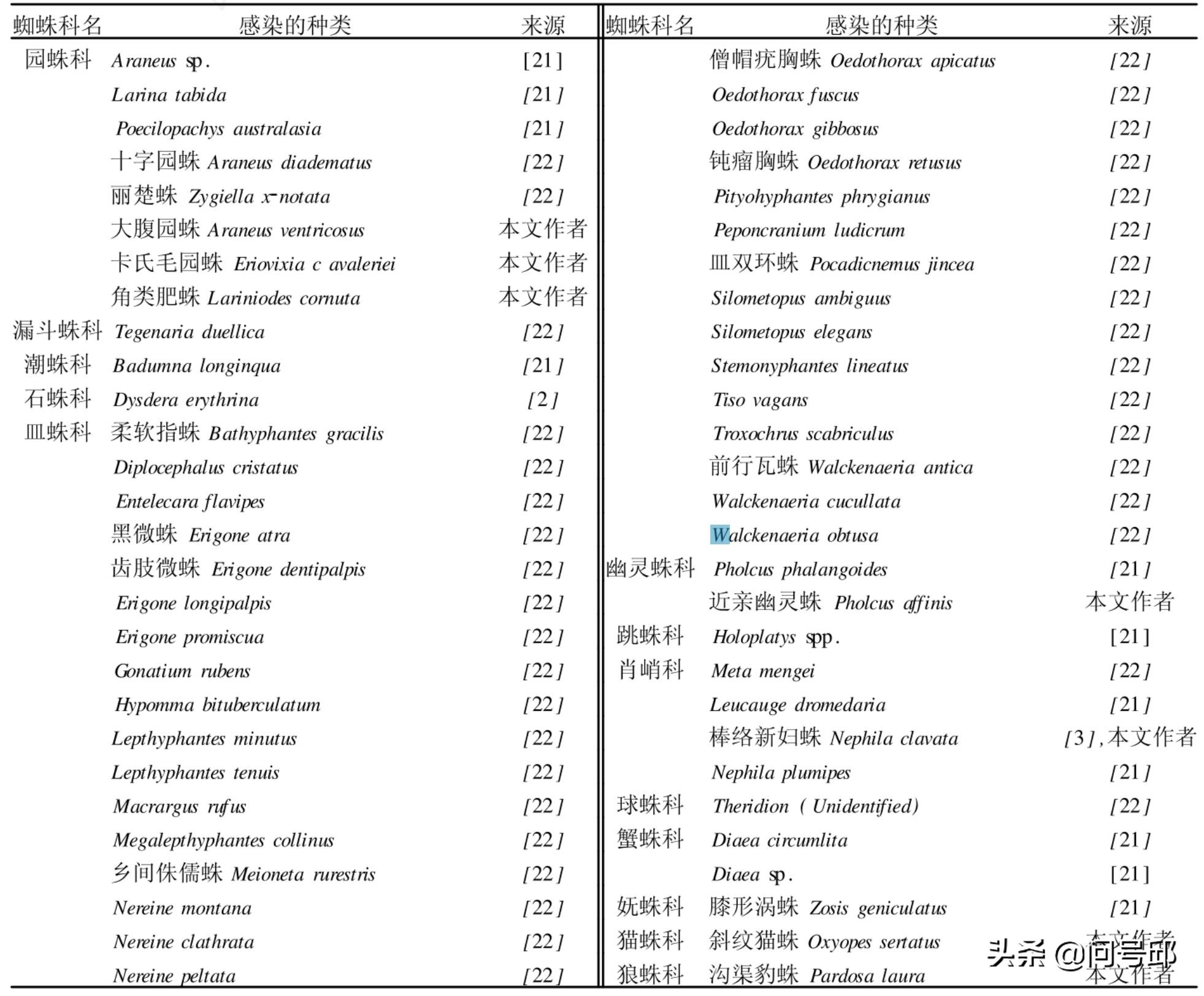 蜘蛛网每一段都一样长吗,蜘蛛网的形状是一样的吗