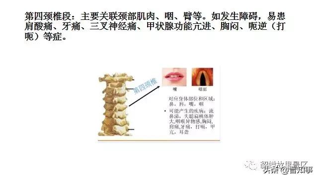 忻州薛氏正骨,忻州古城傅山苑