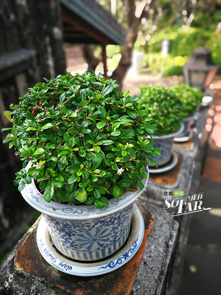 泰国值得去的景点,泰国小众景点图片大全