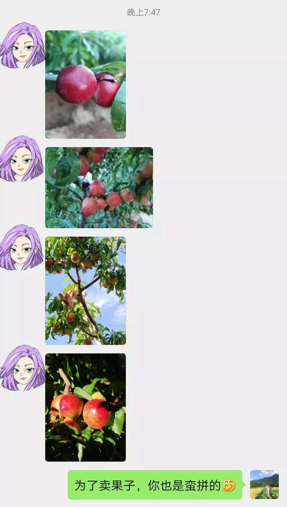 四川宜宾姑娘嫁内蒙古,四川宜宾女子出嫁