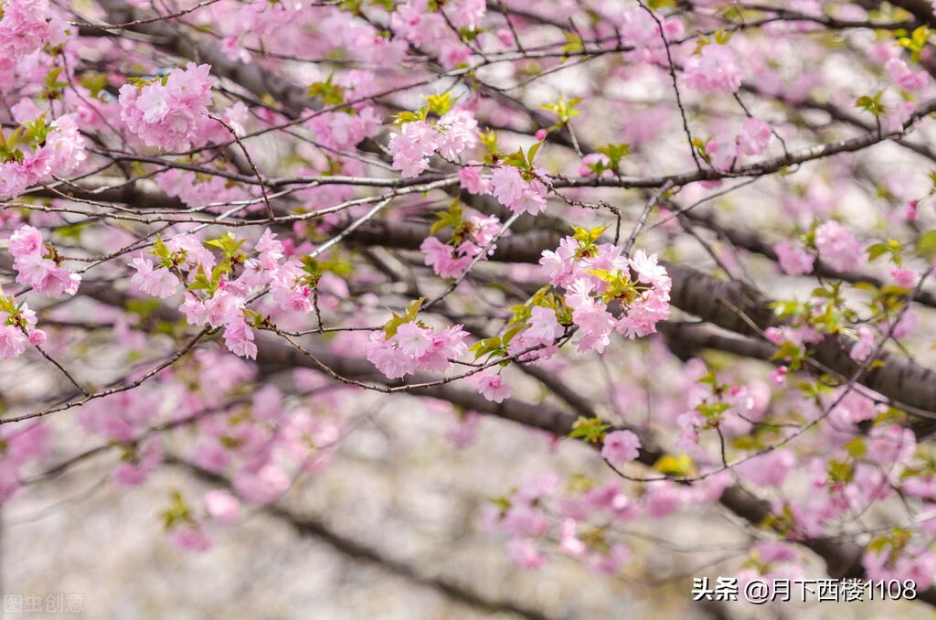 湖南十七个县级市分别是,湖南19个县级市是哪些