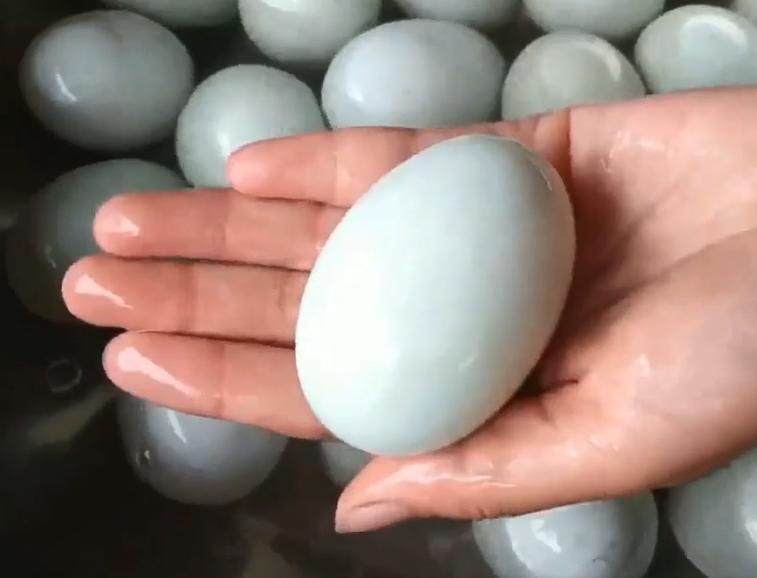 爱吃卤鸭蛋,爱吃咸鸭蛋的好处