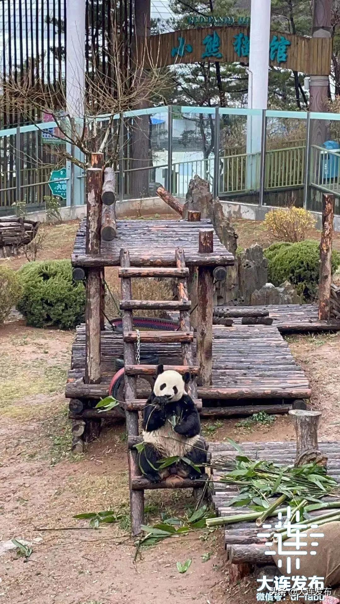 3天,64.03万,8.94亿元