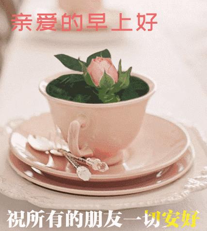 超漂亮的早上好祝福语动画表情图,超赞早上好问候漂亮图片表情带字