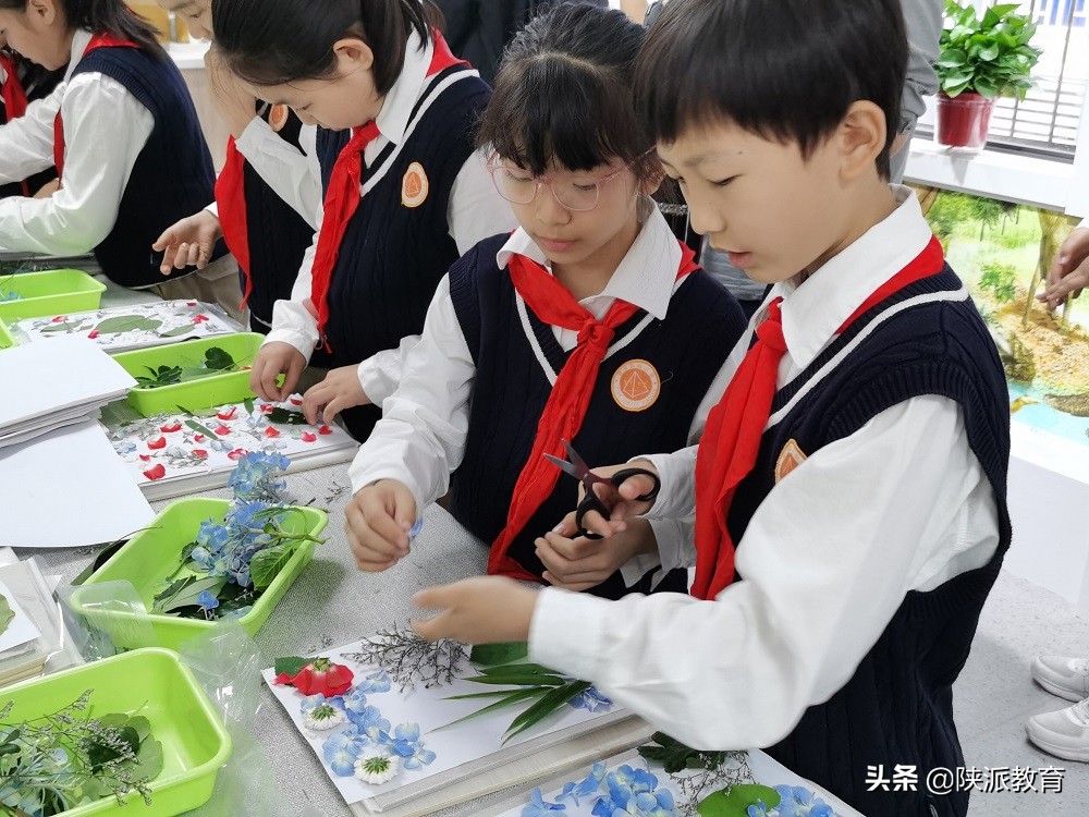 西安新知小学托管,西安市新城区新知小学教育集团