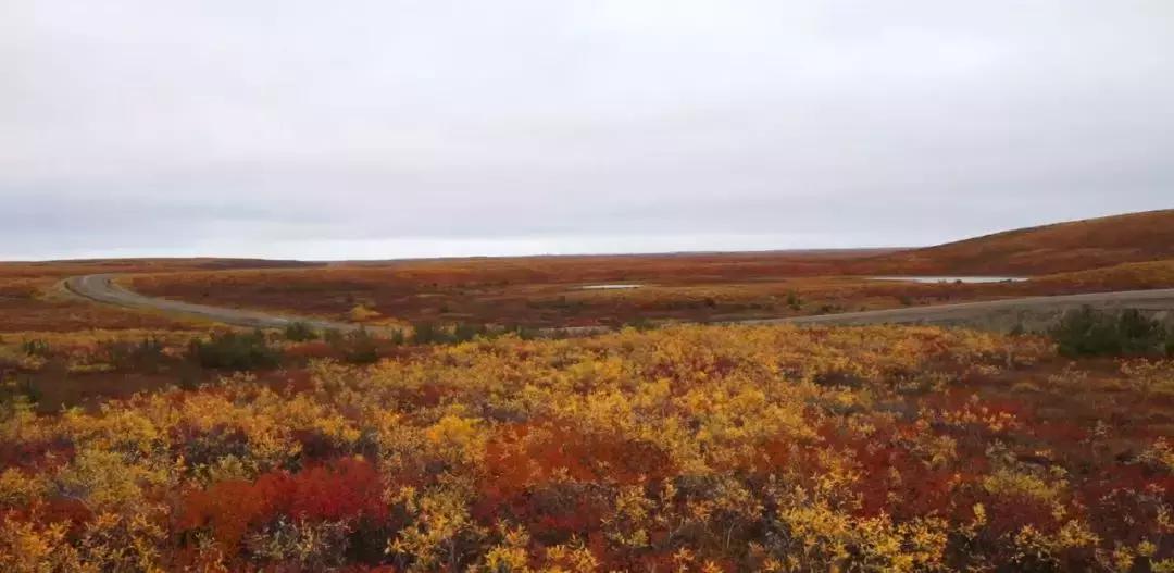 加拿大美丽风景视频,加拿大绝美图