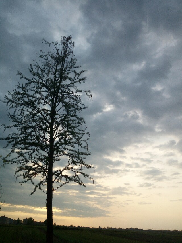 有些亲人还不如外人老死不相往来,有些亲人注定要远离