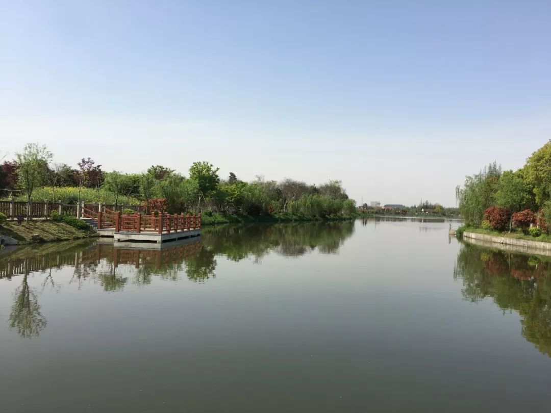 进博的温度,进博热度