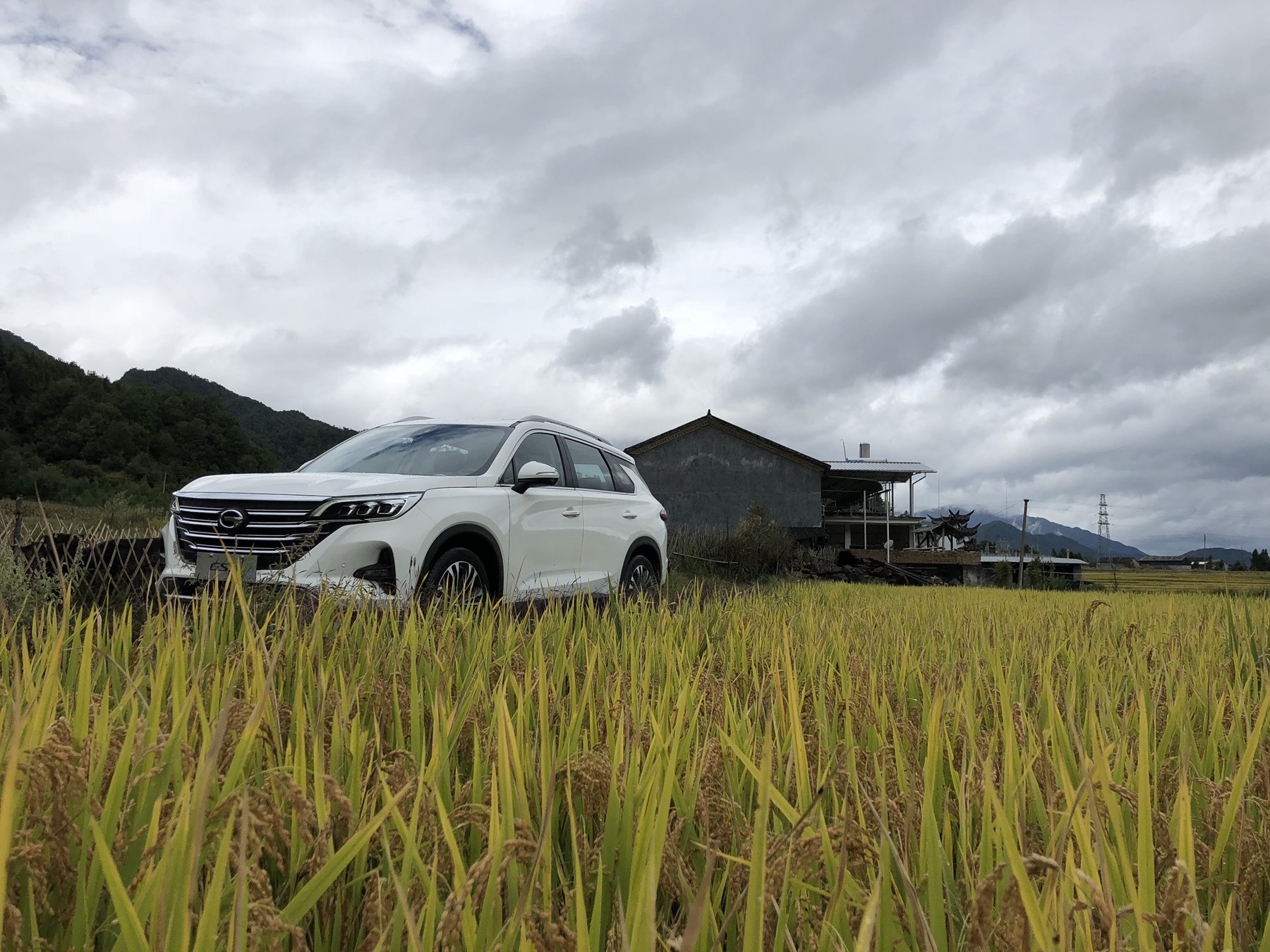 谁都说我们不一样现场版,很多人都说我们不一样抖音