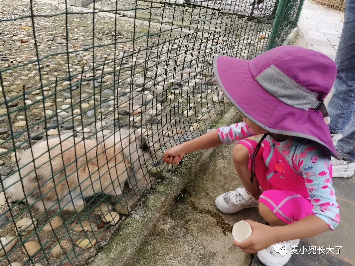 国内clubmed度假村哪个体验感好,clubmed中国哪个地方好