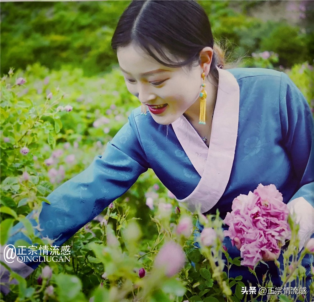 夜色成都串串爽,魅力小金苹果香#国庆中秋趣哪玩#