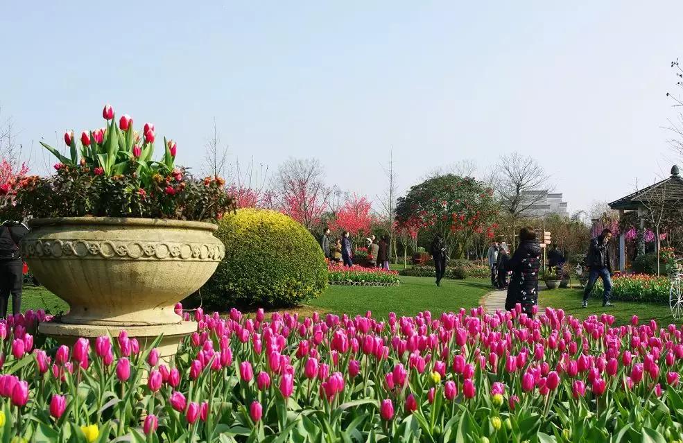 几十块钱玩一天,几十块钱玩一天天津