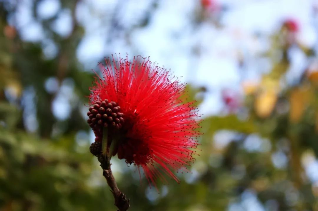 旅行种草,垦丁必打卡景点