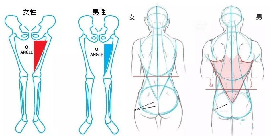 屁股痛、腿麻,有块肌肉受伤了