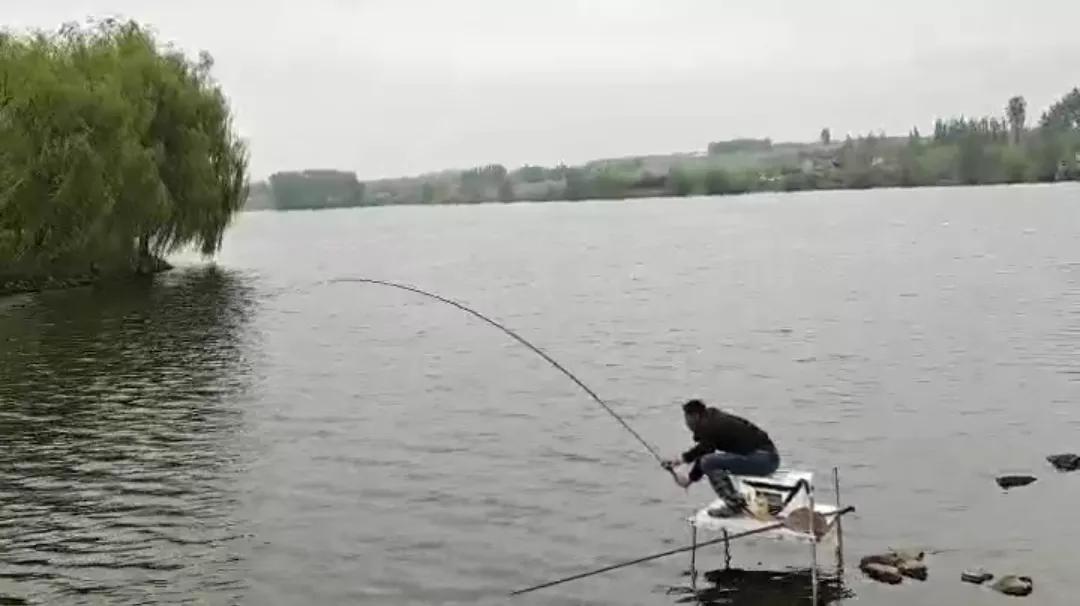 1.0子线遛十斤大鲤鱼,野钓10斤鲤鱼遛鱼技巧