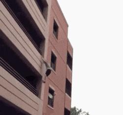 搞笑gif妹子的内心是崩溃的,搞笑gif妹子原来是个逗比