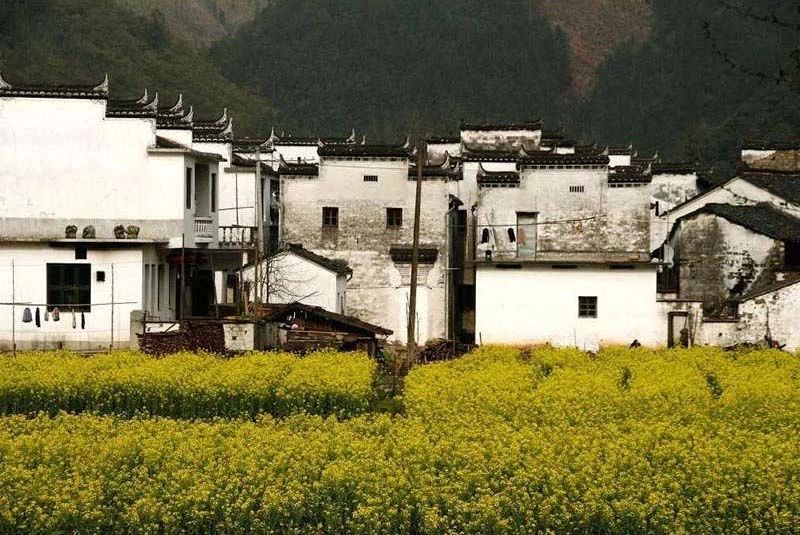 古训“三房不租,三友不交”有何用意?这其中的道理值得警醒